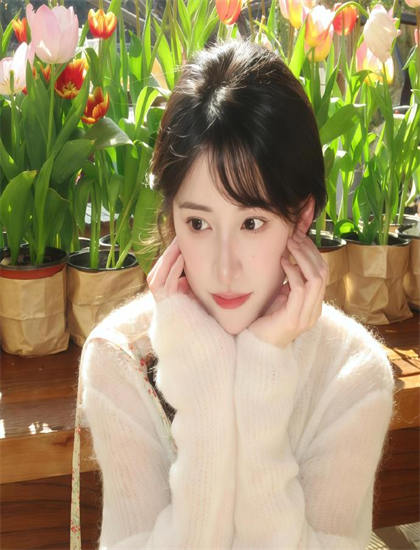 2026春季档噬血狂袭：最终季：上映表现与评价